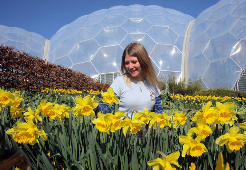 Illustration for article titled Spring Came Early to the Domed Gardens of England